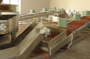 Ligne de production de beurre d'arachide - Torréfaction