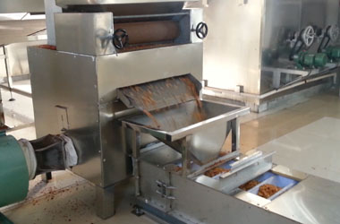 Peanut Butter Production Line - Peeling