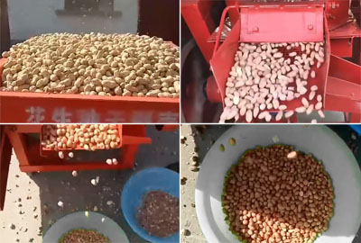 How to further improve the shelling rate of peanut sheller machine?
